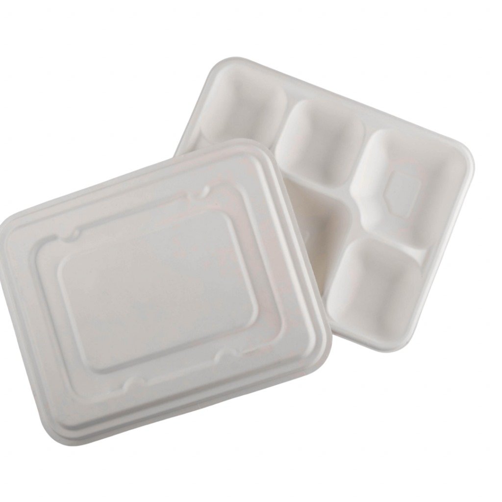 Bagasse Cutlery Set