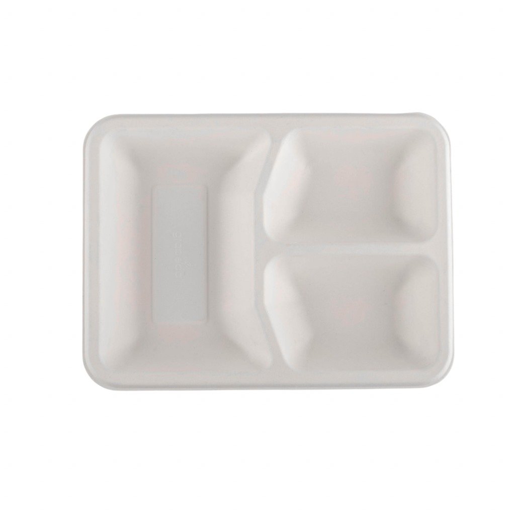 Disposable Plates
