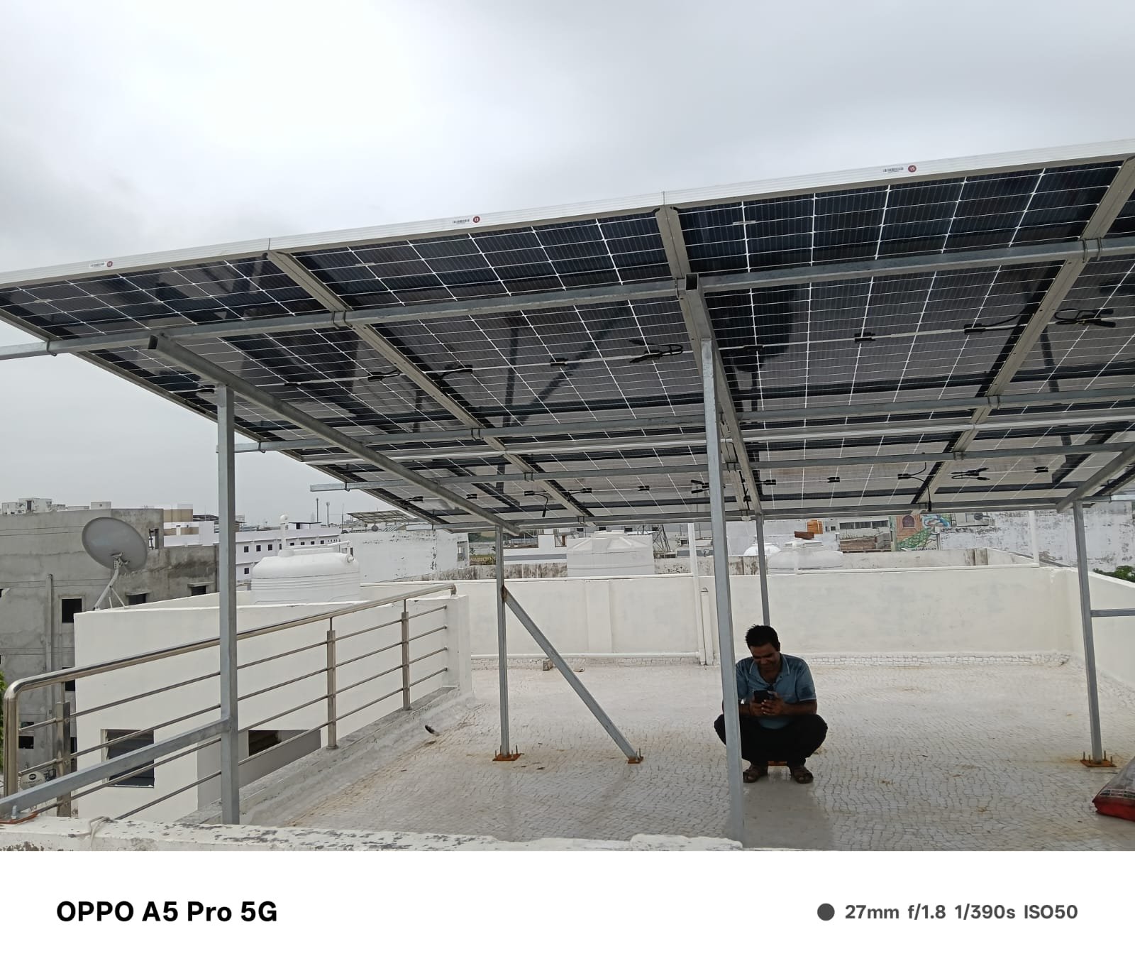 Bagasse Plates Collection